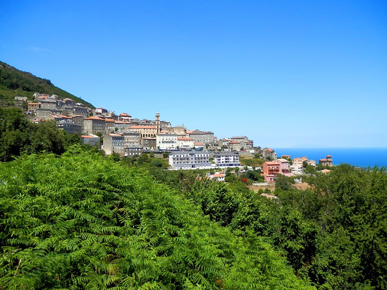 Vue de Cervione