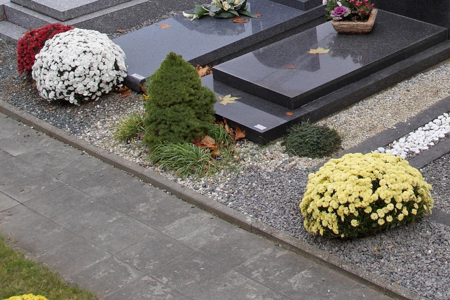 Pots de chrysanthèmes blancs, rouges et jaunes posés sur une sépulture en granit